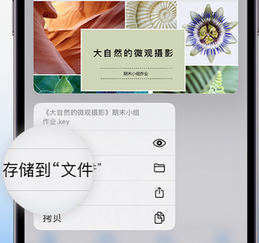 南涧apple维修中心分享iPhone文件应用中存储和找到下载文件