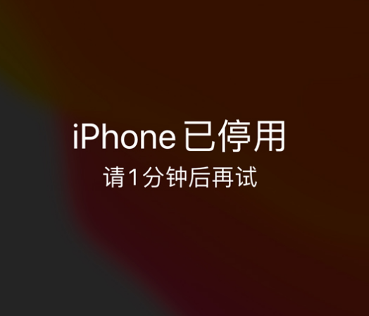 南涧苹果手机维修分享:iPhone 显示“不可用”或“已停用”怎么办？还能保留数据吗？ 