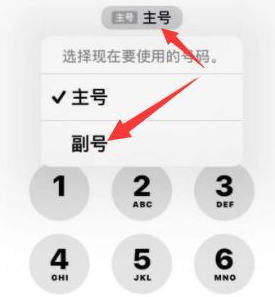 南涧苹果14维修店分享iPhone 14 Pro Max使用副卡打电话的方法 