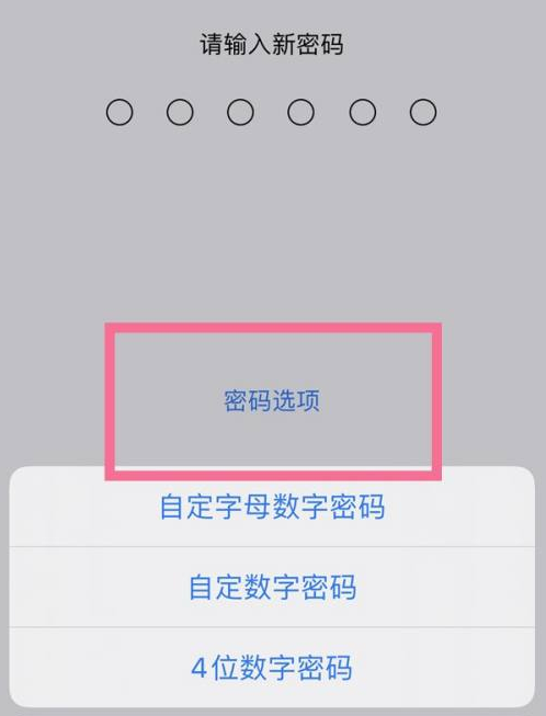 南涧苹果14维修分享iPhone 14plus设置密码的方法 