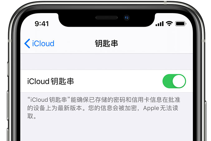 南涧苹果手机维修分享在 iPhone 上开启 iCloud 钥匙串之后会储存哪些信息 