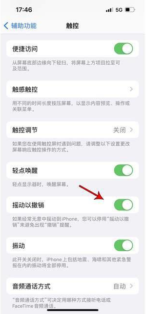 南涧苹果手机维修分享iPhone手机如何设置摇一摇删除文字 