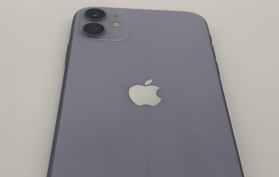 南涧苹果11系统维修分享iPhone11手机系统崩溃无法开机如何解决 